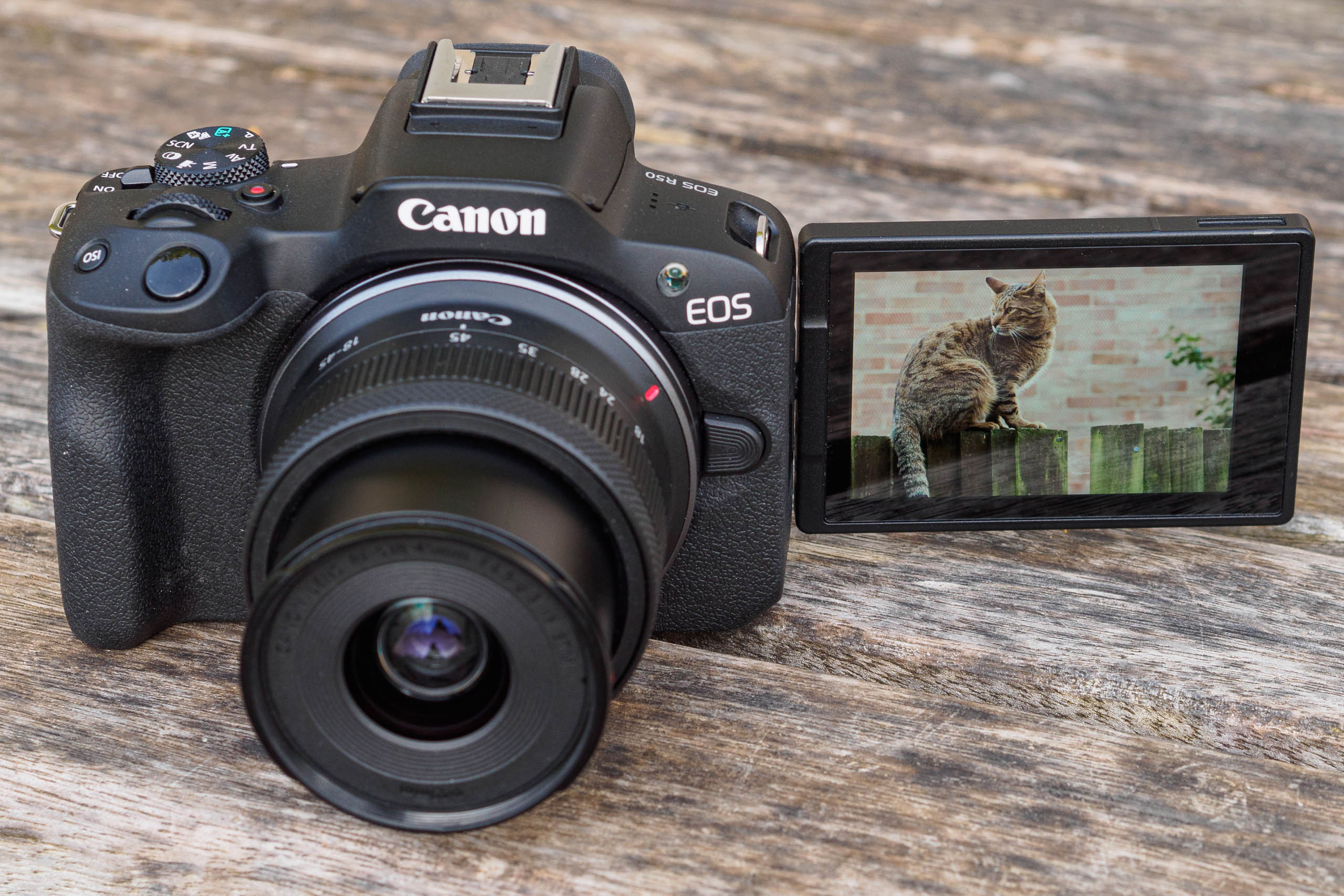 Présentation terrain du Canon EOS R50 – Notre nouvel outil vidéo pro